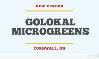 Cultivating Health and Sustainability: Discover Golokal Microgreens Cultivating Health and Sustainability: Discover Golokal Microgreens