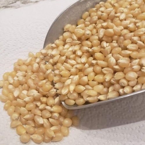 White Popping Corn - 50 lbs White Popping Corn - 50 lbs